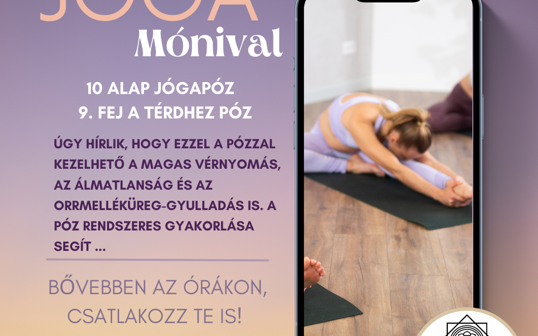 9. Fej a térdhez póz (Janu Sirsasana)