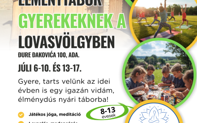 Élménytábor gyerekeknek a lovasvölgyben