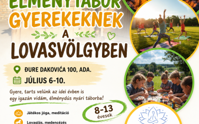 Élménytábor gyerekeknek a lovasvölgyben