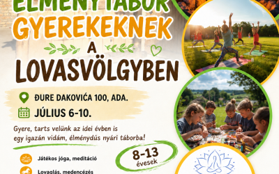 Élménytábor gyerekeknek a lovasvölgyben